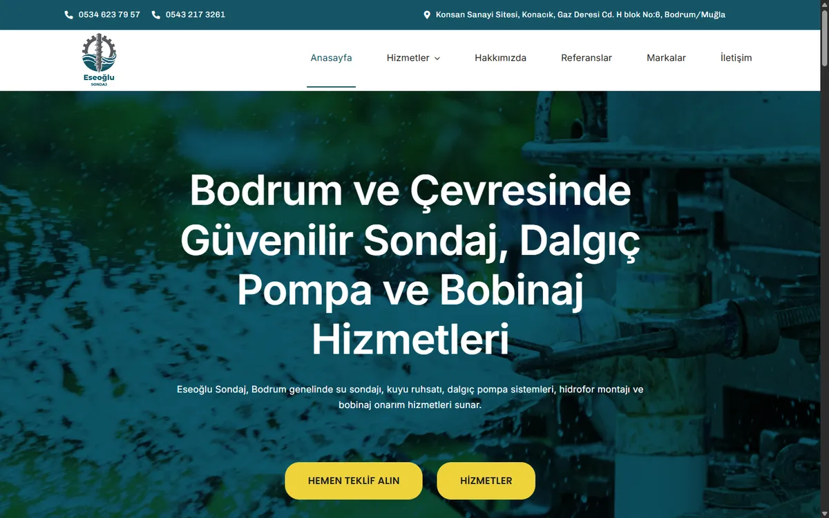 Eseoğlu Sondaj web sitesinin ana sayfası